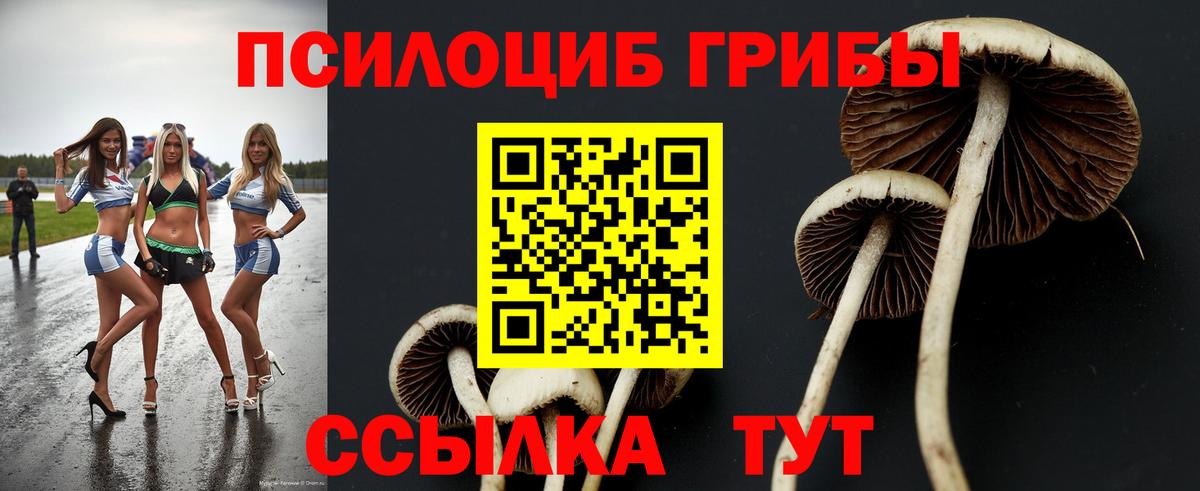 Галлюциногенные грибы Cubensis Ярославль