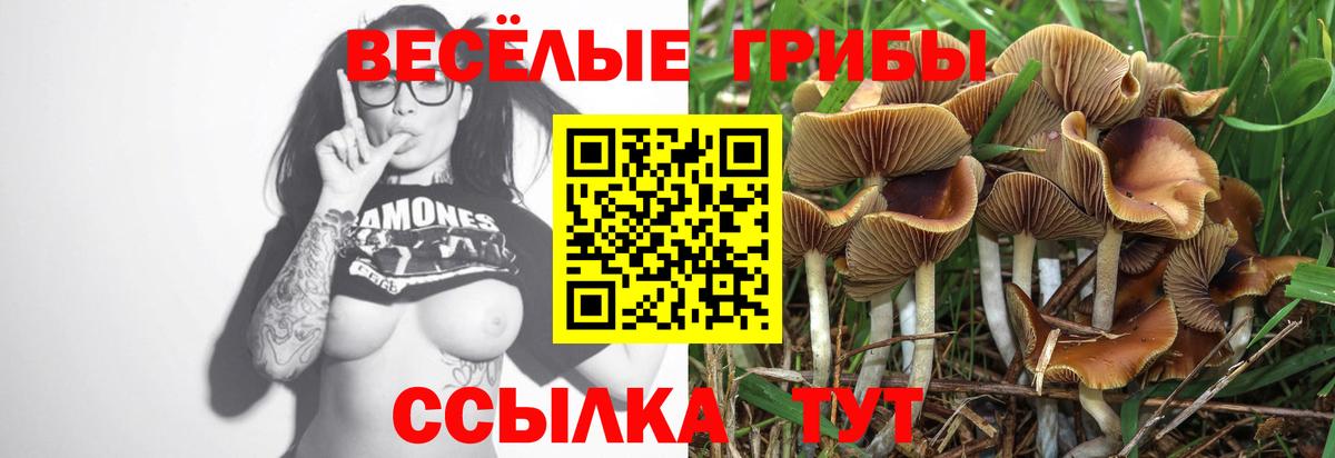 Каннабис Ярославль